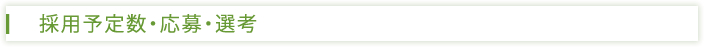 採用予定数・応募・選考