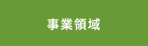 事業領域